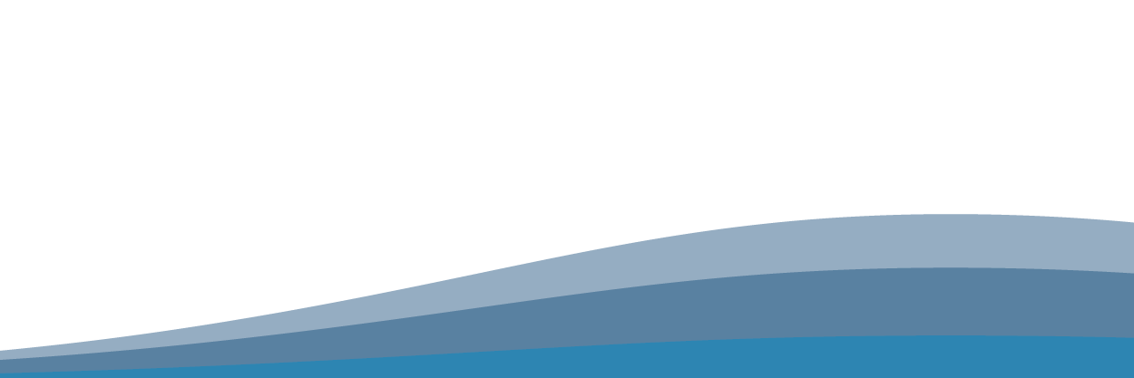 Vessel Arrest Systems